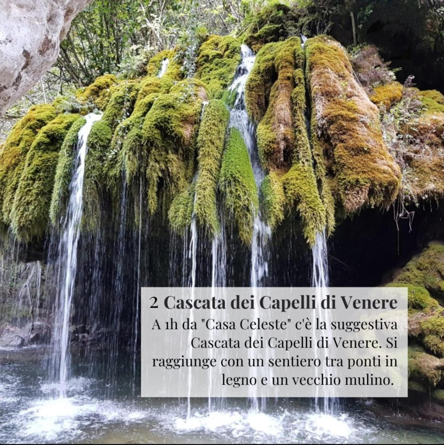 Appartamento Nennella Cilento House Cuccaro Vetere Esterno foto