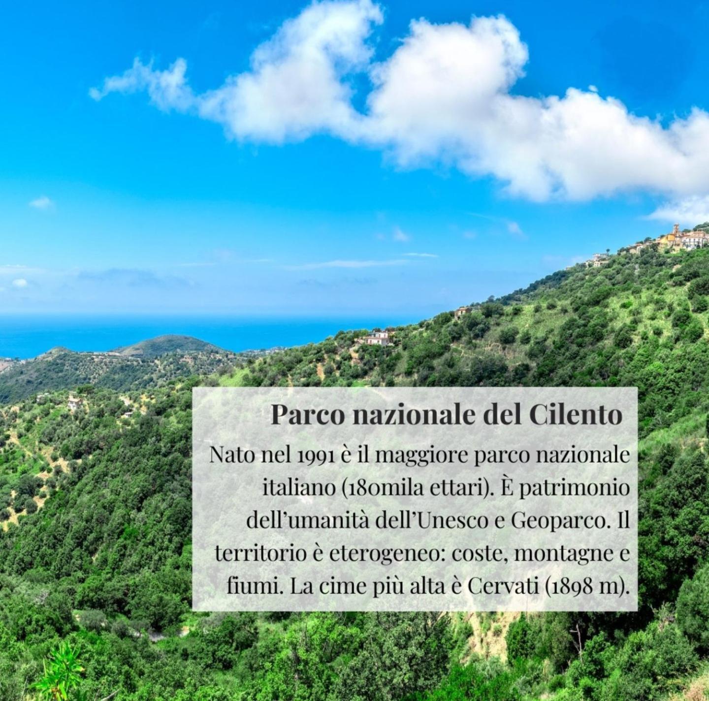 Appartamento Nennella Cilento House Cuccaro Vetere Esterno foto